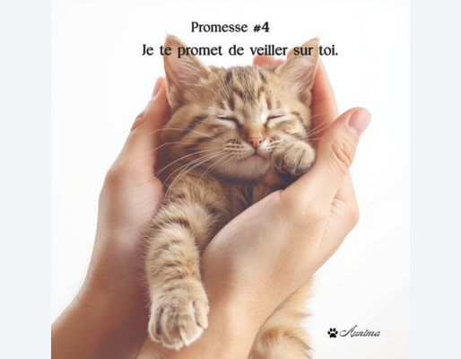 Promesse #4 — Je te promets de veiller sur toi